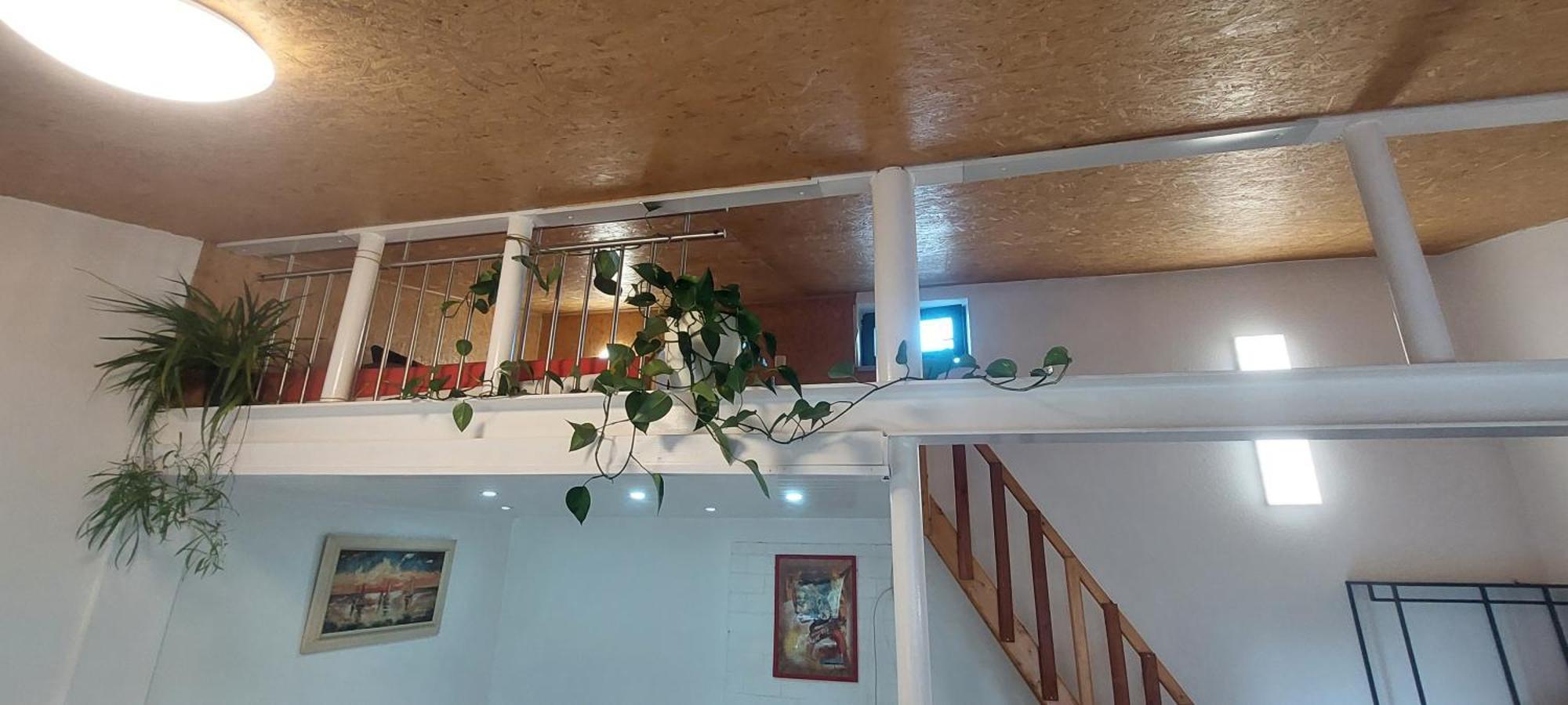 Ferienwohnungen! Kleine Bungalows Mit Terrasse! Stockhausen-Illfurth Habitación foto